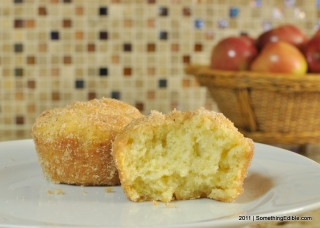 The Forty-Two Year Old Doughnut Muffin.