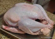 2011 Thanksgiving Bird Journal: Bourbon and Apple Butter Smoked Turkey.