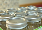 Home Canning for the Newbs, by the Newbs.