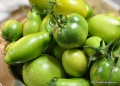 The Gardening Season Swan Song: Roasted Green Tomato Salsa.