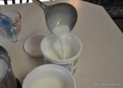 The hardest part of DIY yogurt? Doing the Dishes.